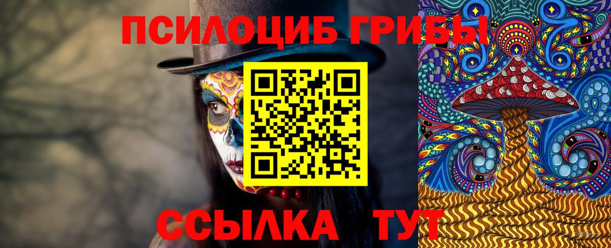 купить  сайты  Вход с VPN  Стрежевой  Галлюциногенные грибы MAGIC MUSHROOMS  Галлюциногенные грибы Psilocybe 